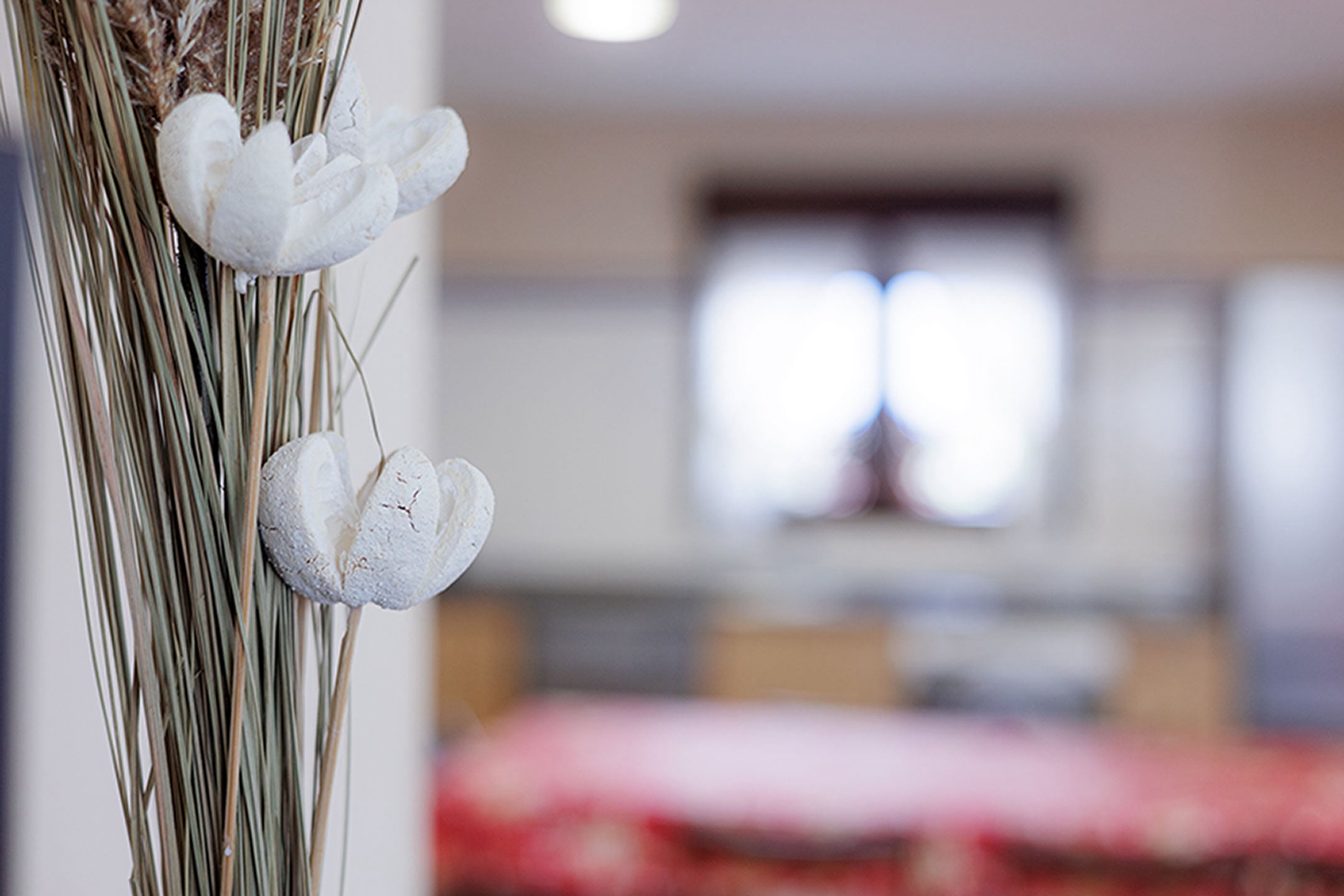 Galería fotográfica de Casa Ramona en Cangas de Onís