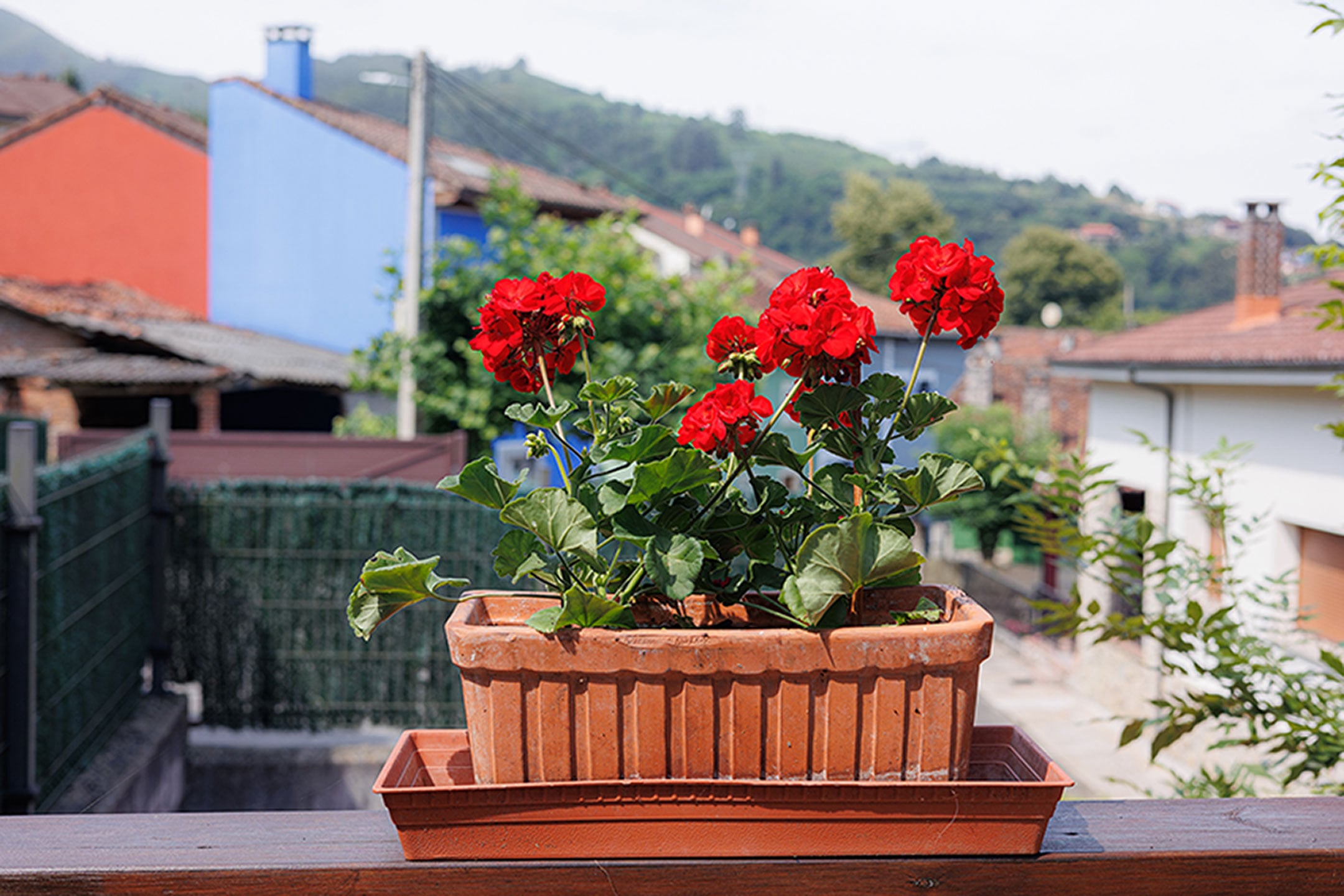Galería fotográfica de Casa Ramona en Cangas de Onís