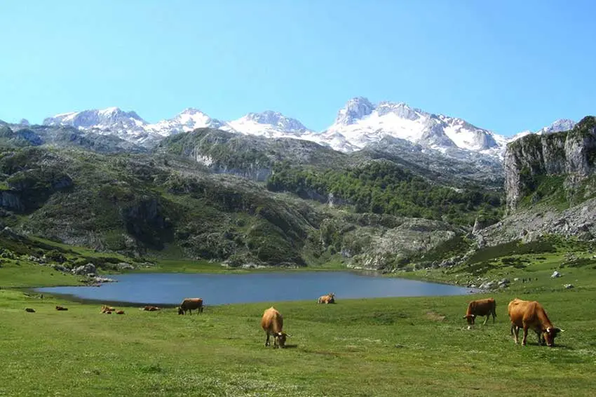 Lago Enol