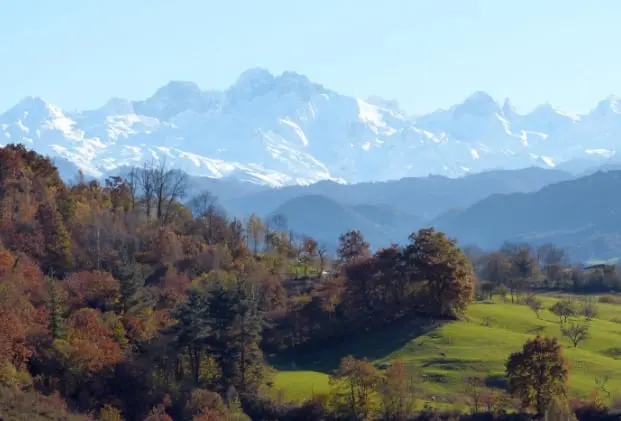 Picos de Europa